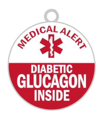 Diabetes Metal ID Tag & Carbineer (Choose Your Style) - GrifGrips